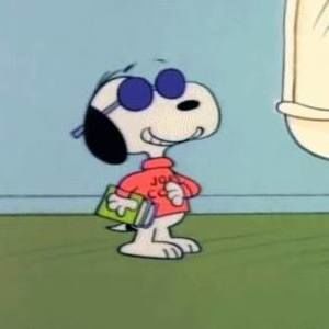 Meet your Posher, Evan